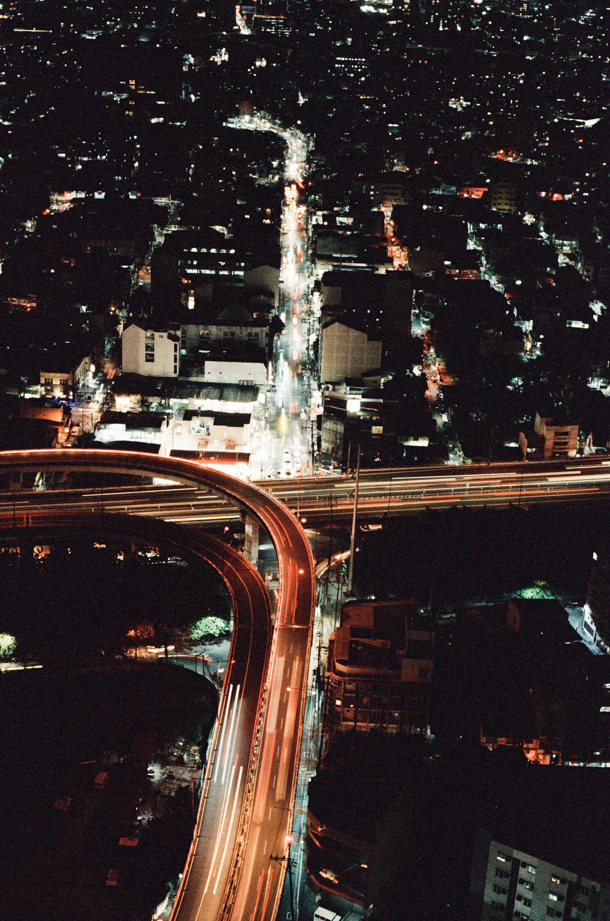 Analog Photograph