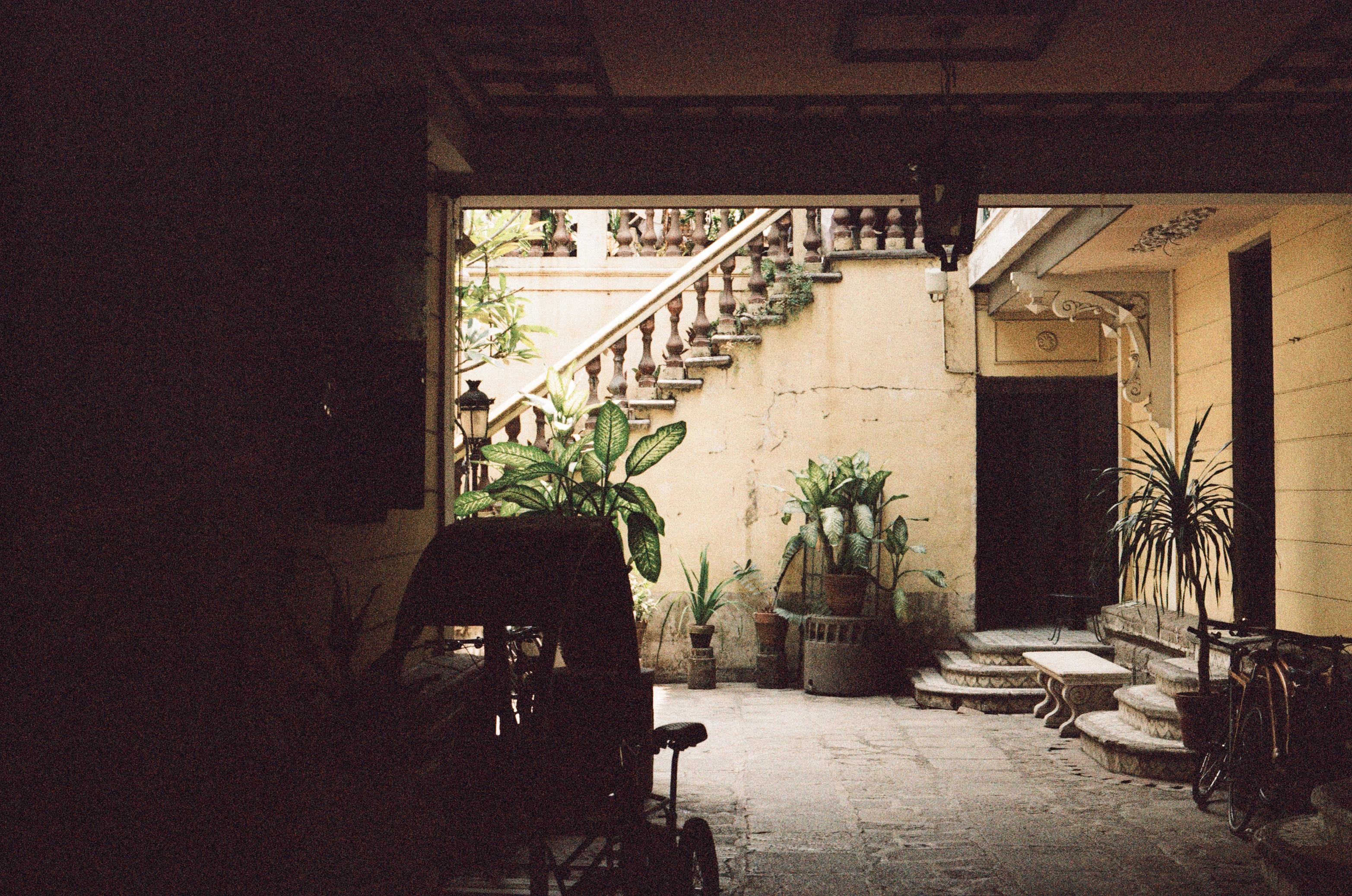 Analog Photograph