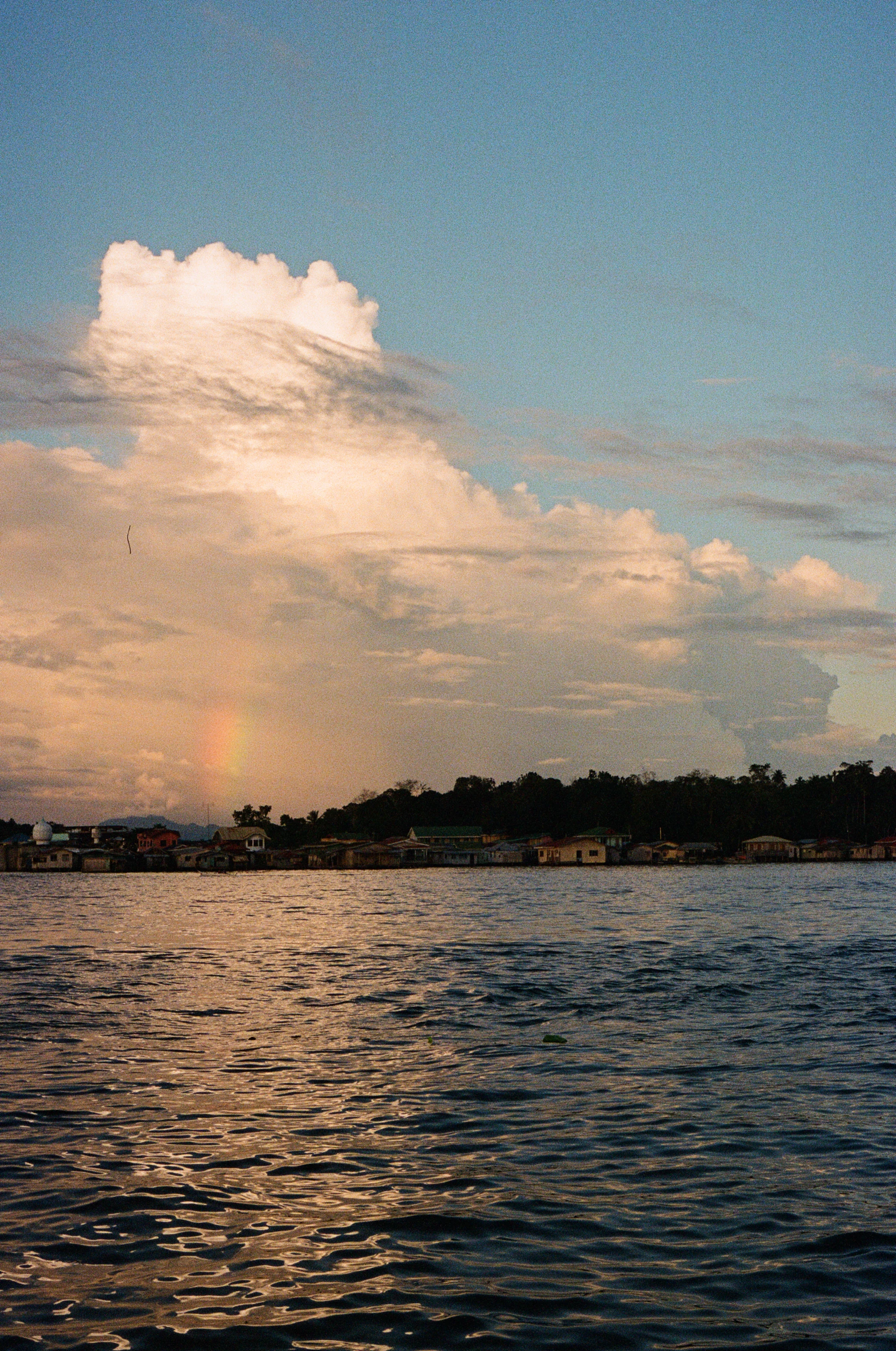 Analog Photograph